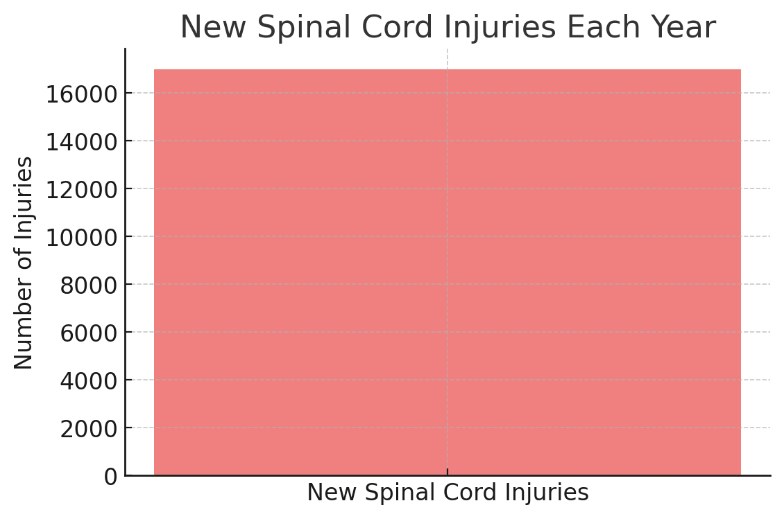 New Spinal Cord Injuries Each Year