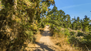 Jacks Peak Park Monterey CA