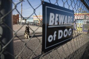 Dog Bite Lawyer In Monterey