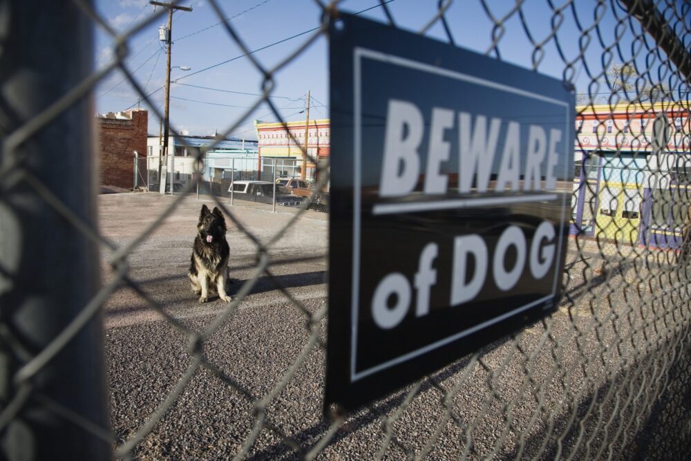 dog bite lawyer Morgan Hill, CA